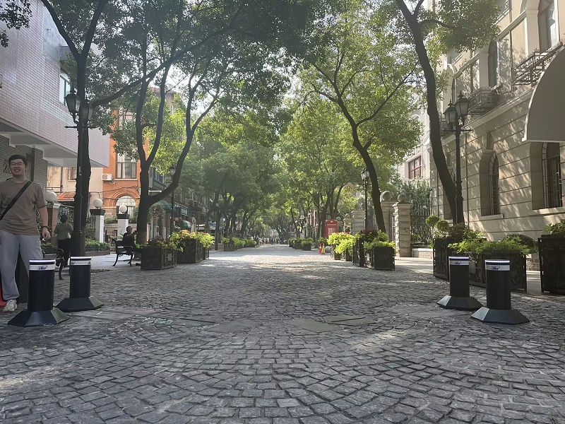 平移式阻车器 平移式阻车器